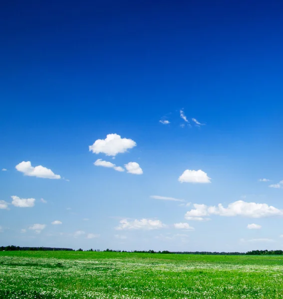 Groen veld en blauwe lucht — Stockfoto