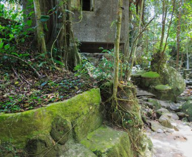 tanım sihirli Buda Bahçe, koh samui Adası, Tayland
