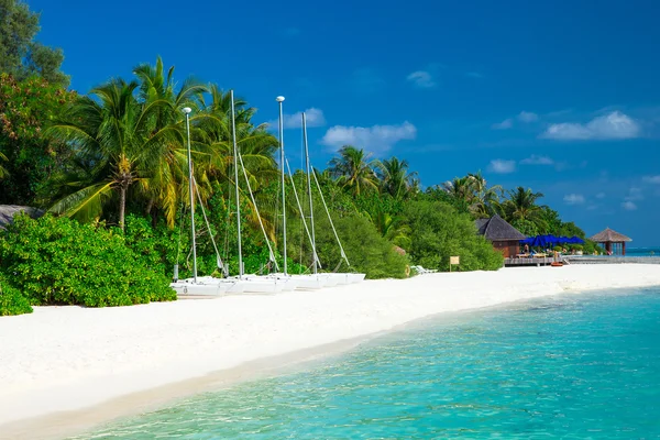 Пляж на Мальдивах с небольшим количеством пальм — стоковое фото