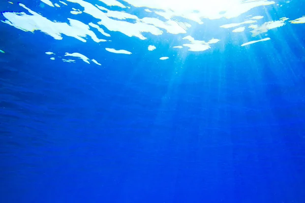Tranquille scène sous-marine — Photo