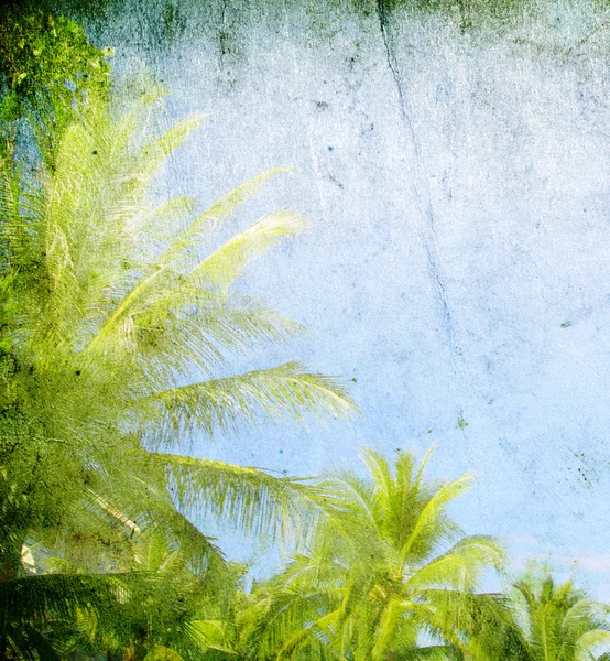 Palmeira verde no céu azul — Fotografia de Stock