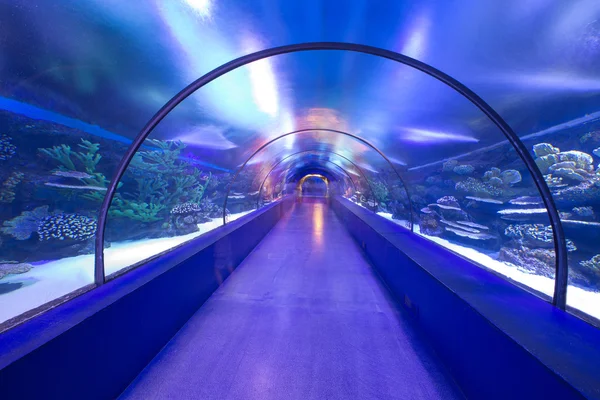 Underwater tunnel — Stock Photo, Image