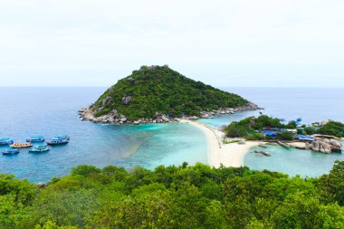 plaj ve tropikal deniz