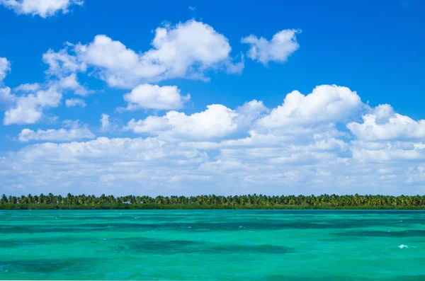 Пляж и тропическое море — стоковое фото