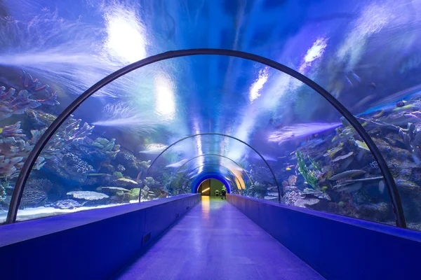 View of underwater tunnel — Stock Photo, Image