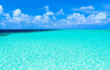 Beyaz kumlu sahili ve denizi olan tropik Maldivler adası