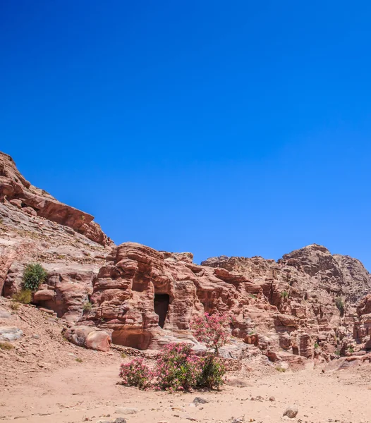 Архітектура в Petra розріз скелі — стокове фото