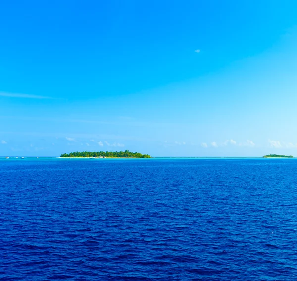 Beautiful beach in Maldives — Stock Photo, Image