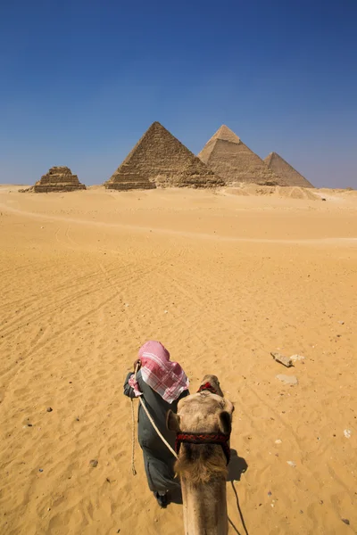在开罗吉萨金字塔 — 图库照片