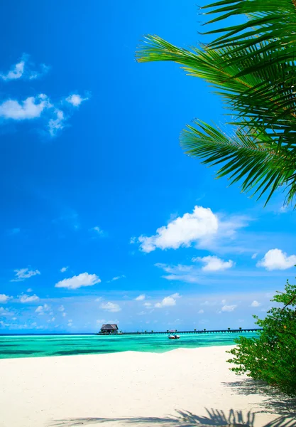 Beautiful beach in Maldives Stock Photo