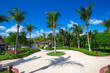 Çimenli bahçe taşı yolu