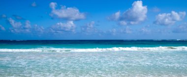 plaj ve tropikal deniz