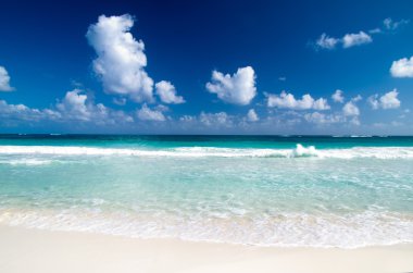 plaj ve tropikal deniz