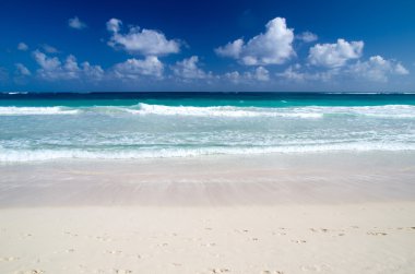 plaj ve tropikal deniz