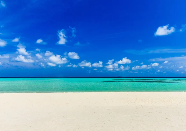 Playa en Maldivas y laguna azul —  Fotos de Stock