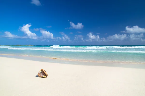 Beach and tropical sea — Stock Photo, Image