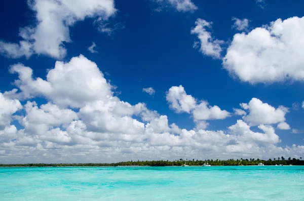 Plage et mer tropicale — Photo