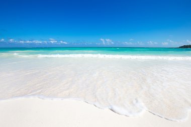 Maldivler güzel plajı