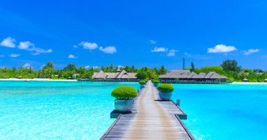 beautiful beach in Maldives clipart