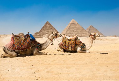 Kahire, Mısır'daki Giza piramitleri.