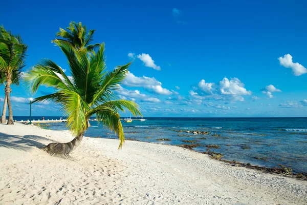 Beach and tropical sea — Stock Photo, Image