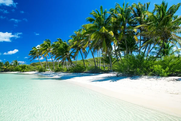 Beach and tropical sea — Stock Photo, Image