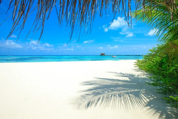 Bella spiaggia in maldive — Foto Stock