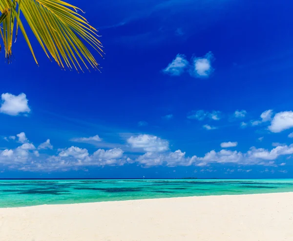 Hermosa playa en las maldivas — Foto de Stock