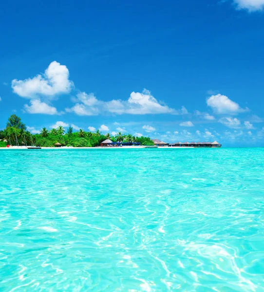 Maldivler güzel plajı — Stok fotoğraf