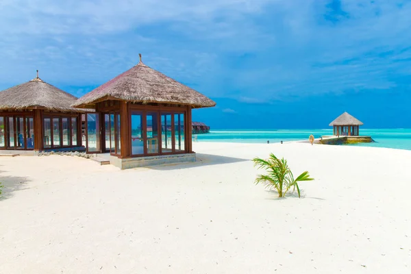 Vacker strand i Maldiverna — Stockfoto