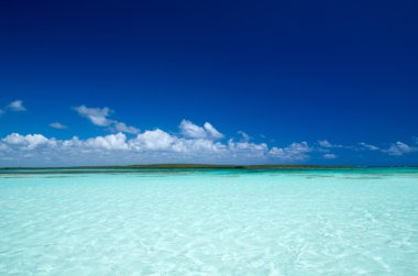 plaj ve tropikal deniz