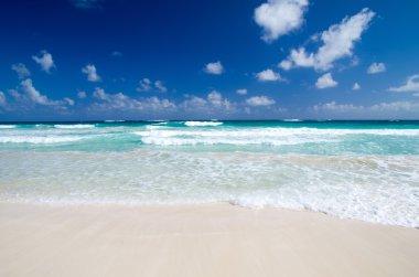 plaj ve tropikal deniz