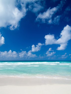 plaj ve tropikal deniz