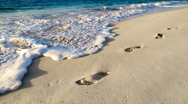 Beach and tropical sea — Stock Photo, Image