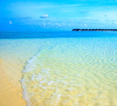 Maldivler 'deki tropik plaj