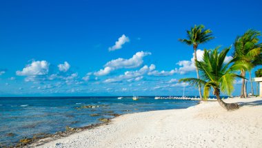 plaj ve tropikal deniz