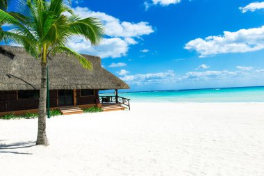 Maldivler 'deki tropik plaj