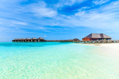 Maldivler 'deki tropik plaj
