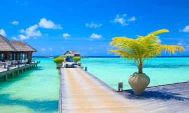 Maldivler 'deki tropik plaj