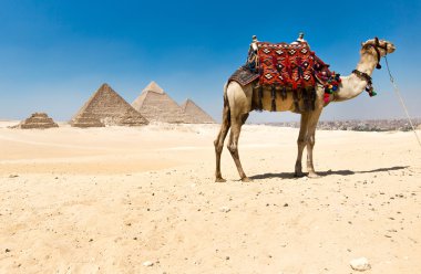 giza, Kahire, Mısır piramitleri.