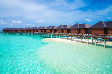 Maldivler 'deki tropik plaj