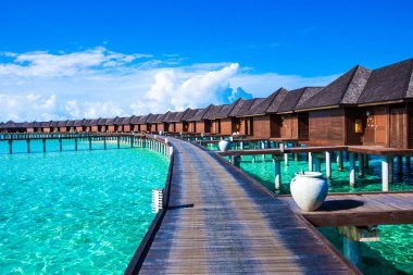Maldivler 'deki tropik plaj