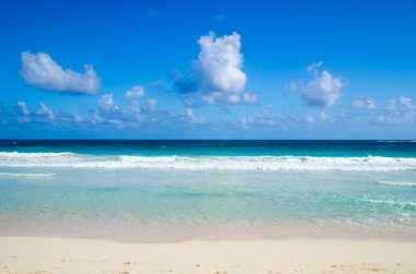 plaj ve tropikal deniz