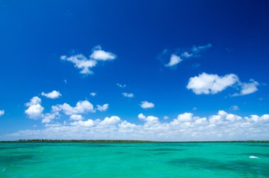 plaj ve tropikal deniz