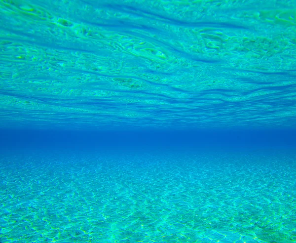 Tranquila escena submarina — Foto de Stock