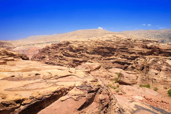 Rock cut architecture in Petra — Stock Photo, Image