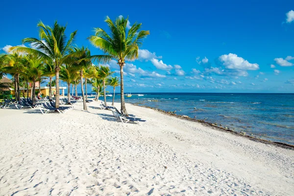 Beach and tropical sea — Stock Photo, Image