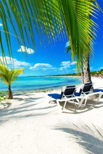 Tropisch strand op de Malediven — Stockfoto