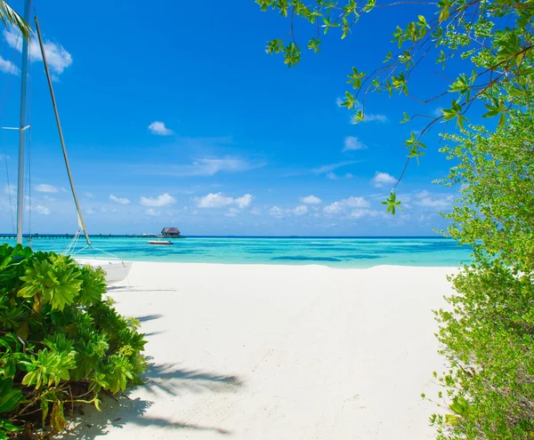 Plage tropicale aux Maldives — Photo