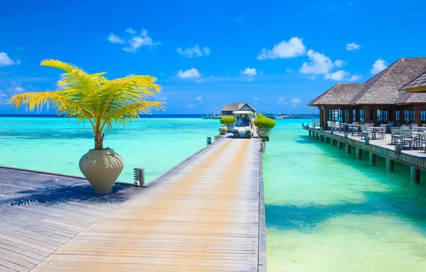 Spiaggia tropicale alle Maldive — Foto Stock